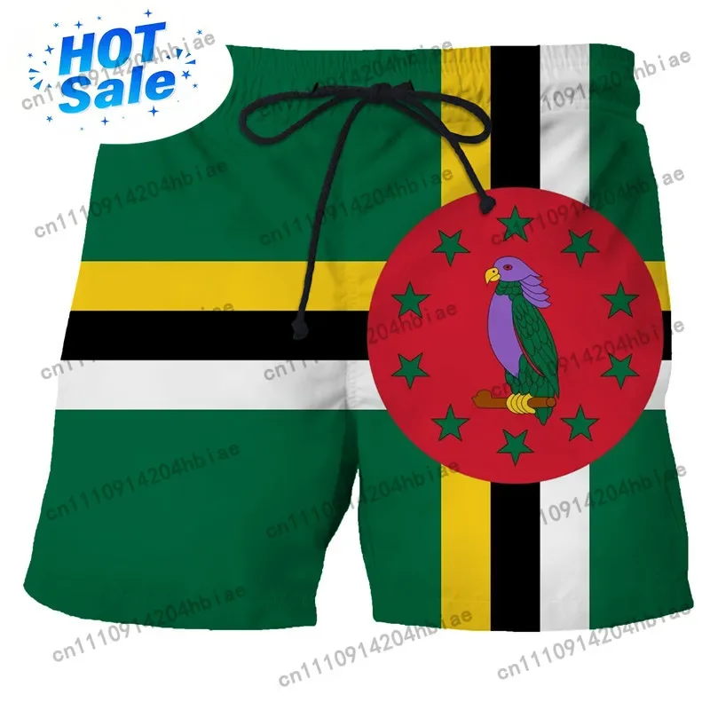 Męskie szorty kąpielowe z flag – Swimwear recenzja i cena